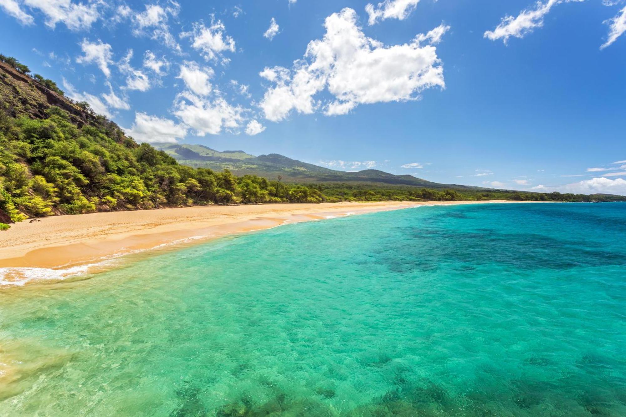 Kamaole Sands 3-405 维雷亚 外观 照片
